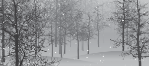 winter scene in the woods