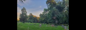 Cedar Heights Cemetery