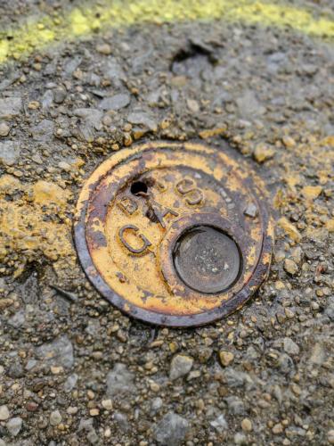 Photo assignment: Find something that represents colors on the rainbow for a photo series.Photo: Gas top cover, yellow by Katy Chumbley